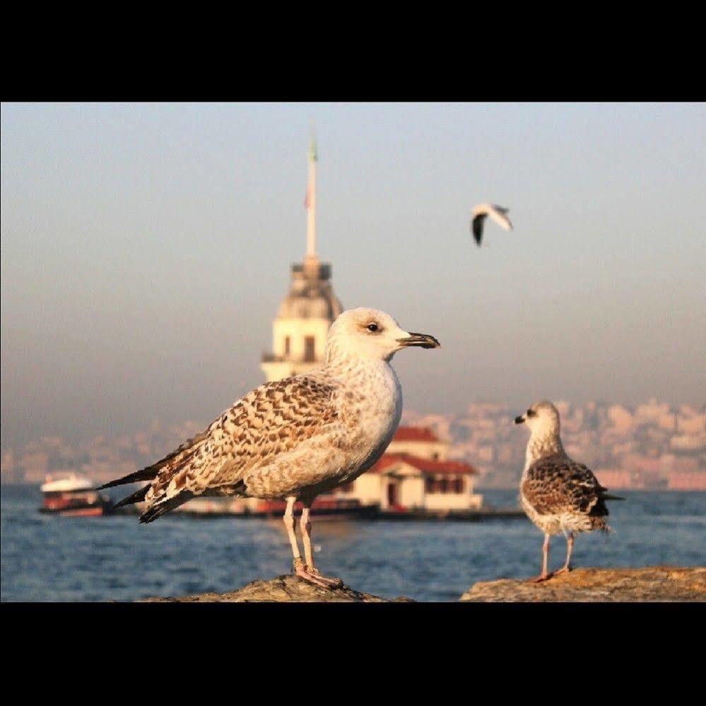 Metin Han Apart Hotel Istanbul Exterior foto